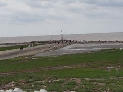 -南汇嘴观海公园