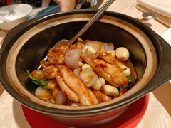 石锅罗勒三杯鸡-喜来登由由大酒店九州膳坊中餐厅