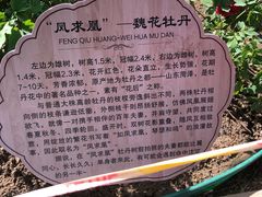 -太阳宫公园