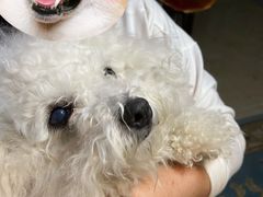 -美联众合动物医院·24h转诊中心