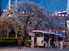 -南浦大桥长途旅游客运站