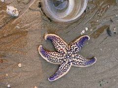 -东戴河风景区-止锚湾