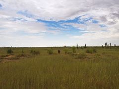 -亿利库布其七星湖沙漠生态旅游区