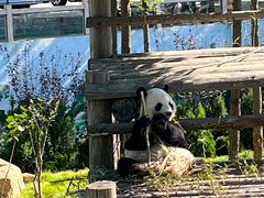 -西霞口神雕山野生动物世界