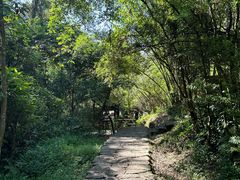 -武夷山风景名胜区-虎啸岩
