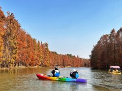 -上海海湾国家森林公园