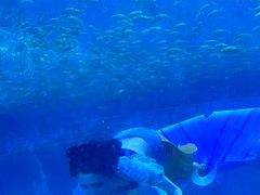 -西安华夏文旅水世界