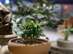 -悟饮门市景店