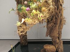 -深圳国际园林花卉博览园