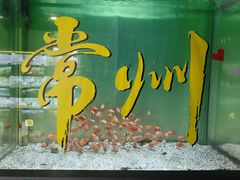-常州海昌海洋探索馆