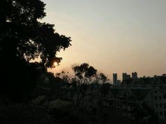 -金鸡山公园