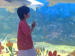 -烟台海昌鲸鲨海洋公园