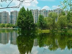 -洋湖国家湿地公园