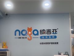 -纳吉亚猫专科动物诊疗中心(蒋宅口分院)