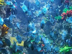-海合安青岛极地海洋公园