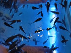 -汤连得温泉馆(宝山店)