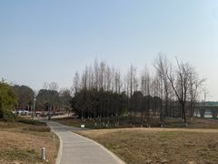 -白鹭湾湿地公园
