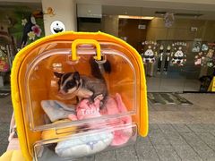 -立德动物医院·异宠·CT·鹦鹉(天河店)