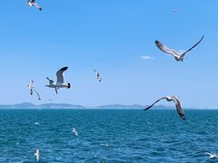 -大连海昌东方水城