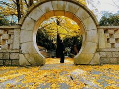 -青岛崂山太清宫