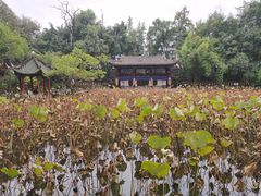 -房湖公园
