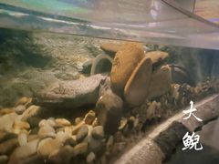 -中国湿地博物馆