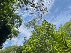 -中国科学院西双版纳热带植物园