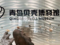 -青岛贝壳博物馆