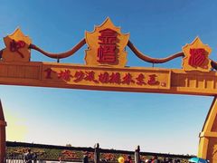 -金塔沙漠胡杨林景区