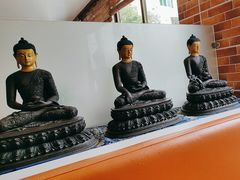 -品茶居素食馆(罗湖店)