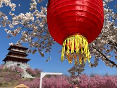 -古柏渡飞黄旅游区