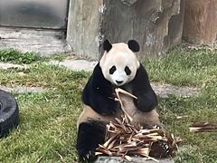 -大连森林动物园