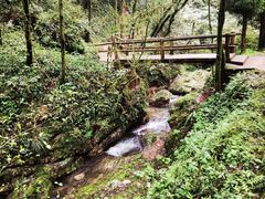 -青城山