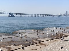 -星海广场