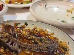 -江味龙虾馆·裸蓝龙虾(南山店)