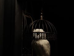 -567·密室逃脱(大良店)