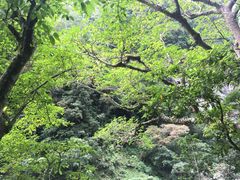 -太鲁阁公园