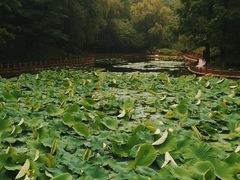 -湛山寺