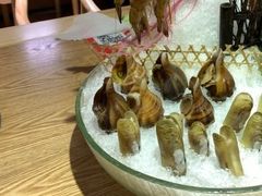 黄金螺-尚海豆捞(乐虹坊店)