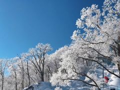 -长白山万达国际滑雪场