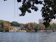 -荔湾湖公园