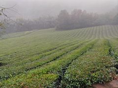 -敬亭山风景名胜区