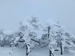 -秦岭风景区