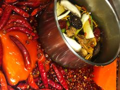 -蜀九香火锅(九眼桥店)