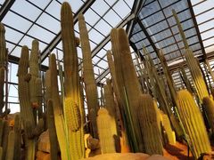 -南通洲际绿博园