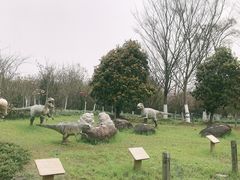 -上海海湾国家森林公园