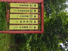 -木兰云雾山