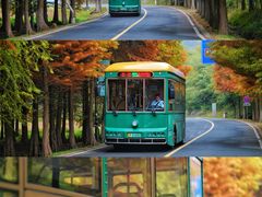-南京市无想山景区