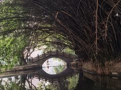 -棠湖公园