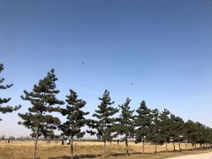 -汉长安城未央宫国家考古遗址公园